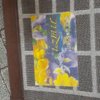 قالیجه|فرش|مشهد, حضرت حجت|دیوار