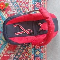 یک عدد کریر و روروئک