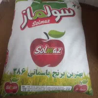 برنج|خوردنی و آشامیدنی|قم, آذر (نکویی)|دیوار