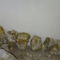 سنگ قیمتی