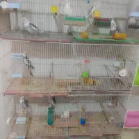 فروش یا معاوضه