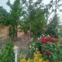 فروش زمین به متراژ ۸۰۰ متر عکس تزیینی میباشد