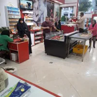 استخدام مرغ کار خانم و آقا