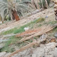 فروش زمین