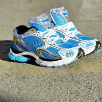 کتونی ساکونی