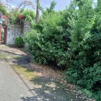 خانه ویلایی قدیمی رشت آتشگاه