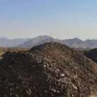 کود حیوانی