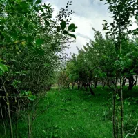 باغچه-و-زمین-دمی-در-بر-جاده