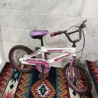 دوچرخه  رنگ اسپرت هم دخترانه هم پسرانه