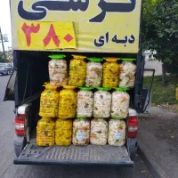 ترشی همدان قیمت عمده
