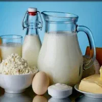 نیروی کار خانم در لبنیاتی