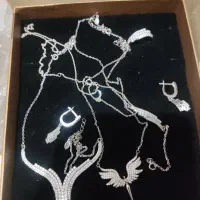 سرویس کامل نقره