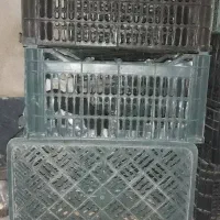 جبه گوجه
