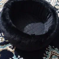 کلاه|لباس|گنبد کاووس, |دیوار