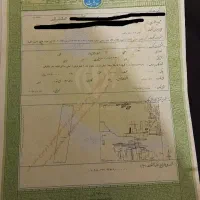زمین زراعی - باغی