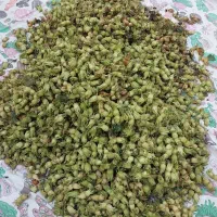 فندق تازه