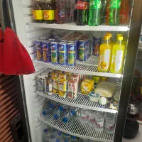 یخچال ایستاده ویترینی موتور الجی