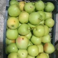 سیب زرد|خوردنی و آشامیدنی|مشهد, گاز|دیوار
