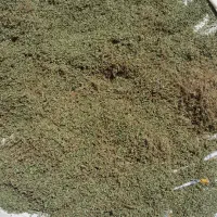گیاهان کوهی عمده