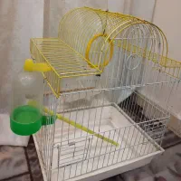 قفس