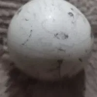 سنگ الماس آسیاب