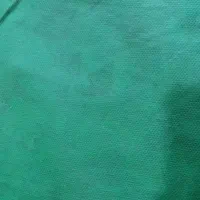 پرده سبز جهت تولید محتوا۵۰۰