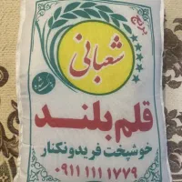 برنج شمالی