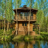 یک-تصمیم-تازه-یک-تجربه-تازه