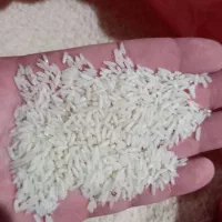 برنج دانه بلند تازه زرد دم