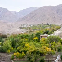 زمین-روستای-خرو