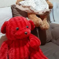 خرس