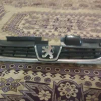 یک عدد جلو پنجره پژو سلکس