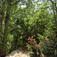 باغشهر-دالین-سپیدان-هماشهر-سربست-کوچه-برند