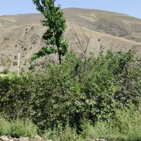 زمین زشک زیبا حاشیه۱۰ جاده تلکابین چشم انداز