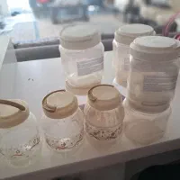 تعدادی جا حبوباتی