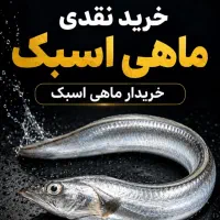 خرید وفروش ماهی اسبک شیر بچه شیر ماهی پرورش سیباس