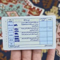 کیف مدارک به نام مینا امیراصلانی گمشده