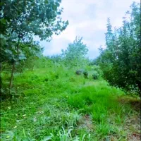 زمین 679متر 130مترداخل طرح هادی