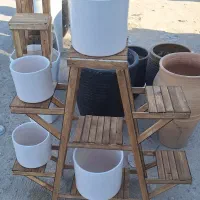 استند|گل و گیاه طبیعی|بندر گناوه, |دیوار