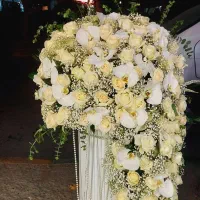flower box    سبدگل تبریک باکس گل خاص افتتاحیه