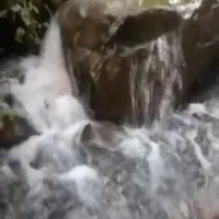 تور گردشگری