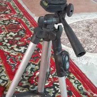 استاند تصویر