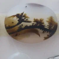 سنگ شجر عمده وتک