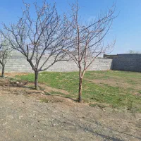 زمین ملکی ۴۰۰ متر مربع  در توس ۹۷ روستای خین