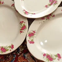 چینی گل قرمزی