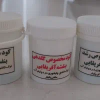 کود بنفشه آفریقایی