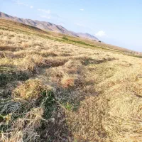 زمین مناسب برای باغ و ویلا