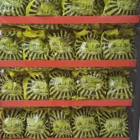 ذغال تش