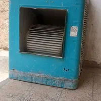 کولرابی