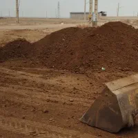 فروش کود حیوانی گاوی